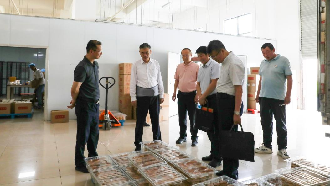 下乡图片1.png 下乡图片1.png